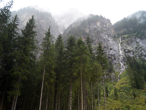 Nationalpark Hohe Tauern - Kötschachtal - 2021 Nationalpark Hohe Tauern - Kötschachtal - 2021