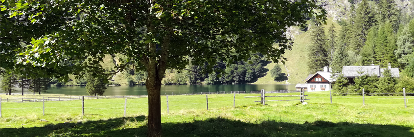 Wanderung zum Schwarzensee - Naturpark Sölktäler - Schladminger Tauern