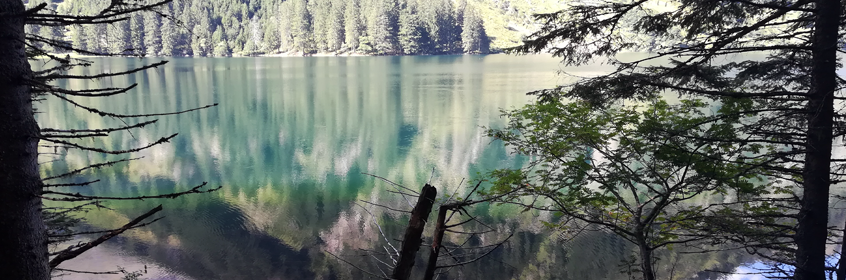 Wanderung zum Schwarzensee - Naturpark Sölktäler - Schladminger Tauern