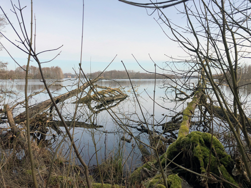 Der Ziegelsee sehr wild und naturbelassen Der Ziegelsee sehr wild und naturbelassen